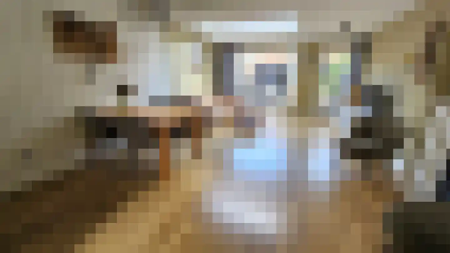 Esdoornlaan 10 Zaandijk thumbnail 12