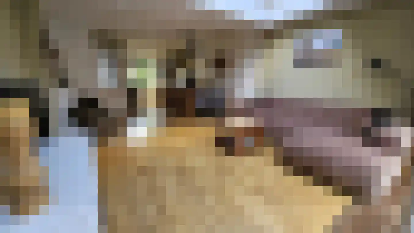 Esdoornlaan 10 Zaandijk thumbnail 13