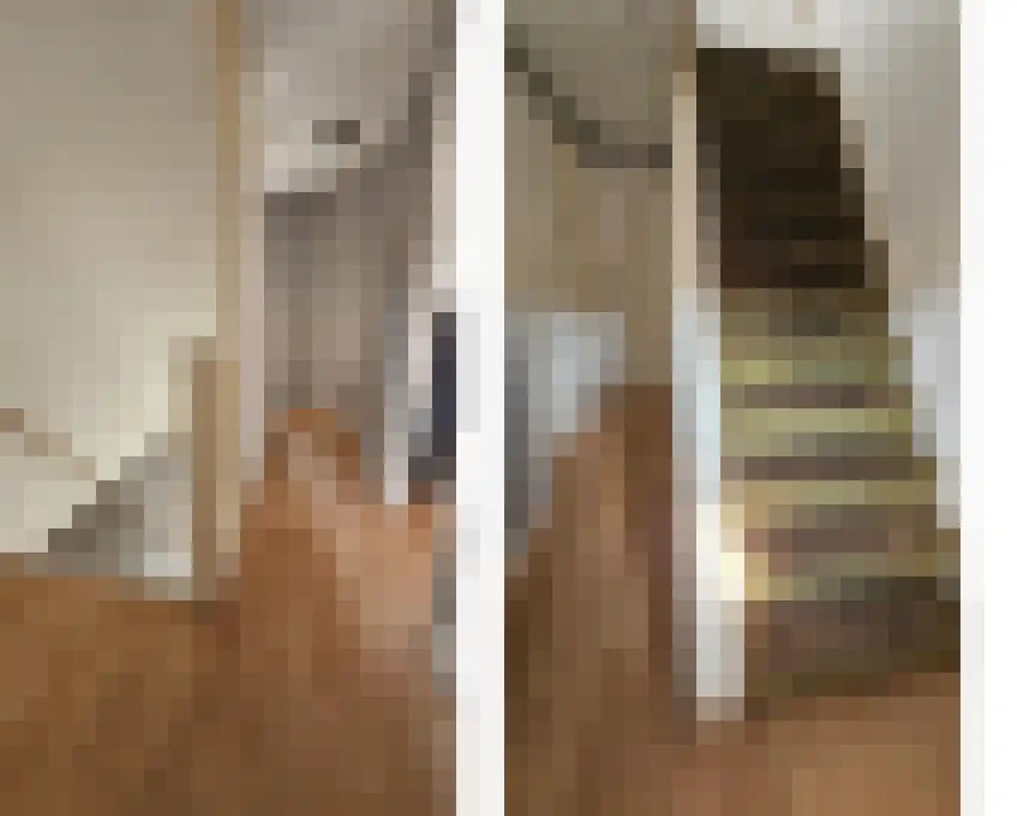 Esdoornlaan 10 Zaandijk thumbnail 17