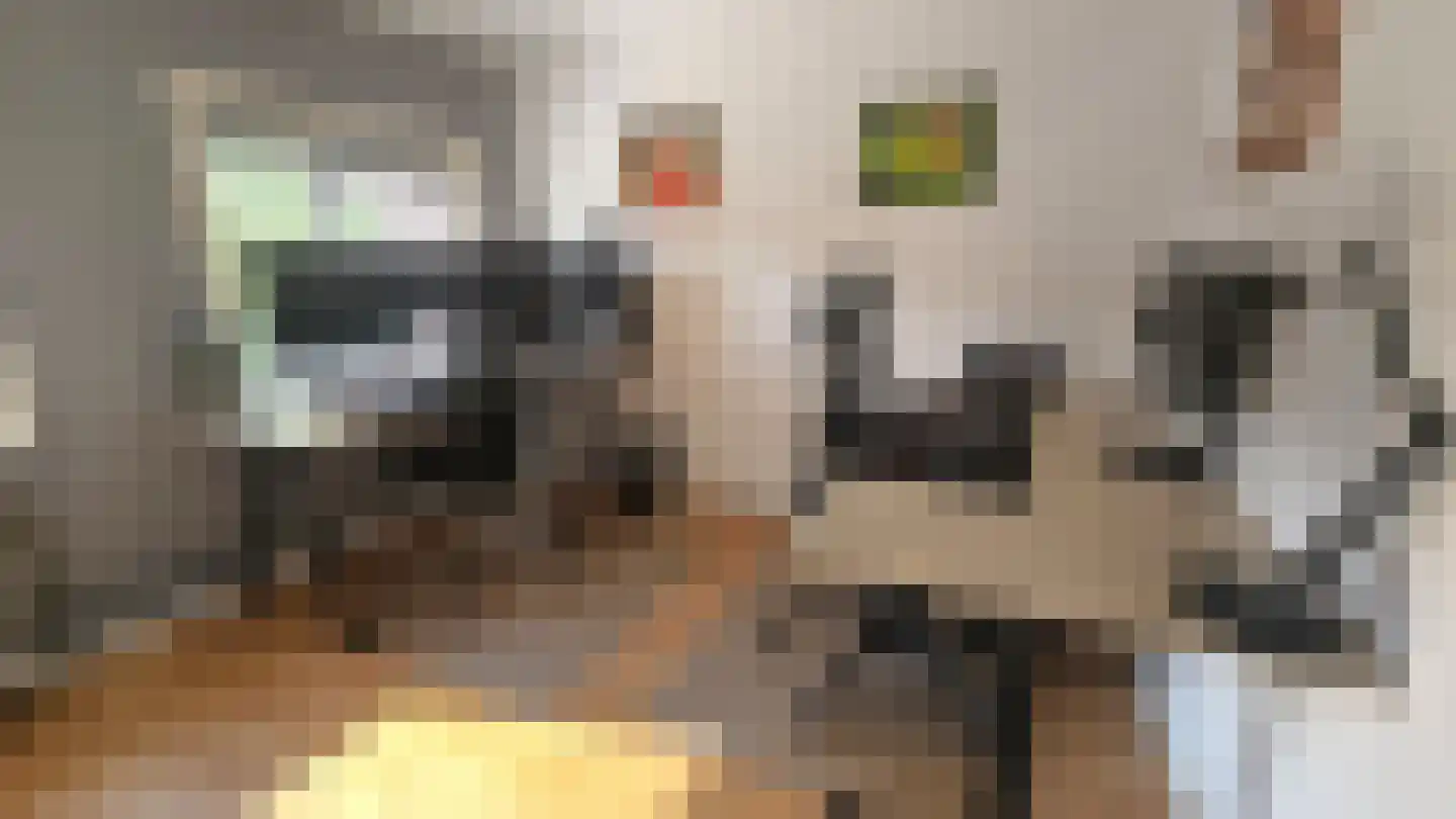 Esdoornlaan 10 Zaandijk thumbnail 18