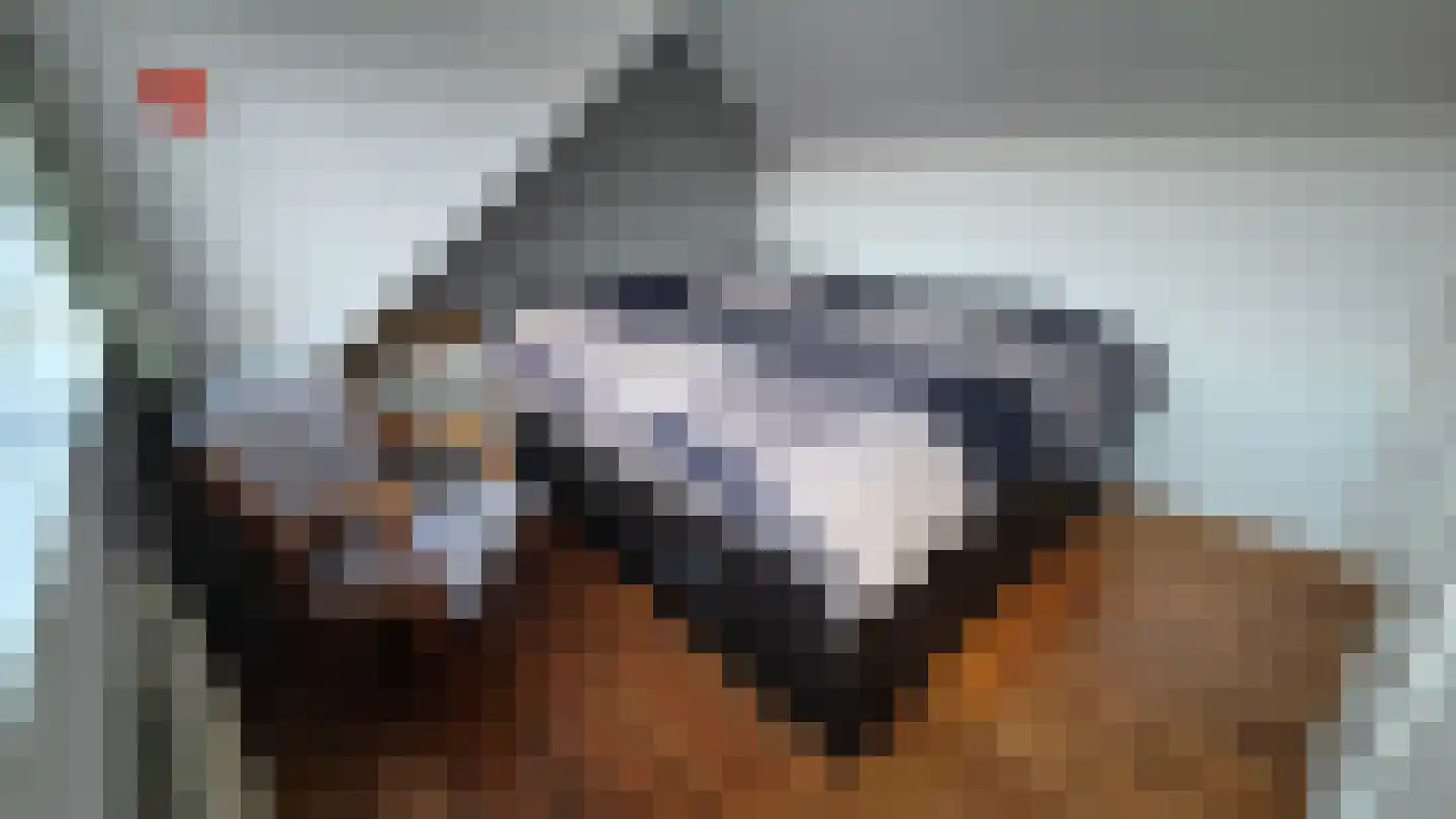 Esdoornlaan 10 Zaandijk thumbnail 26