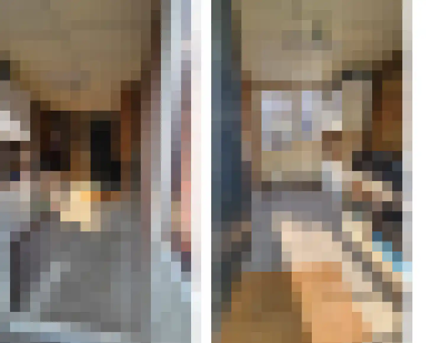 Esdoornlaan 10 Zaandijk thumbnail 32