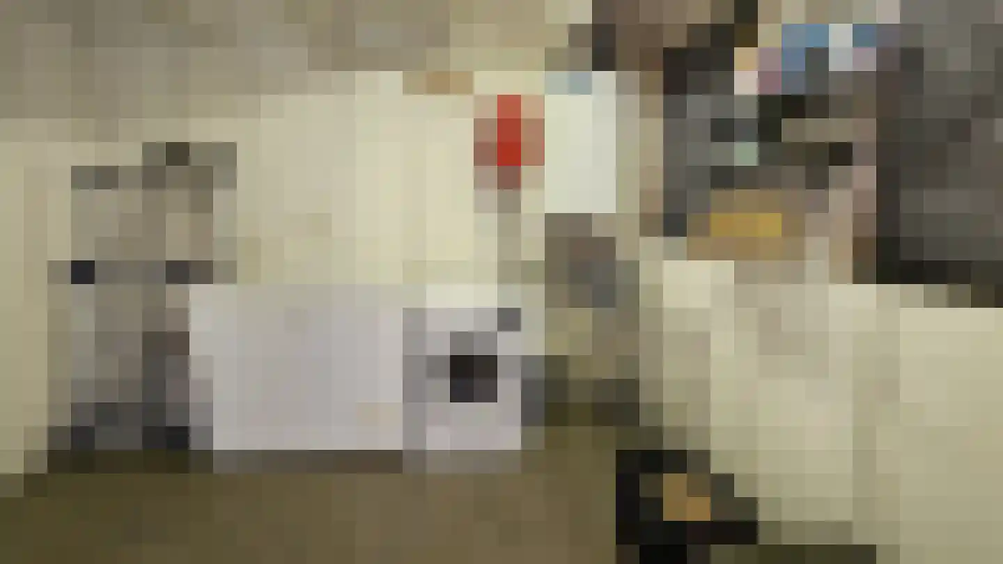 Esdoornlaan 10 Zaandijk thumbnail 33
