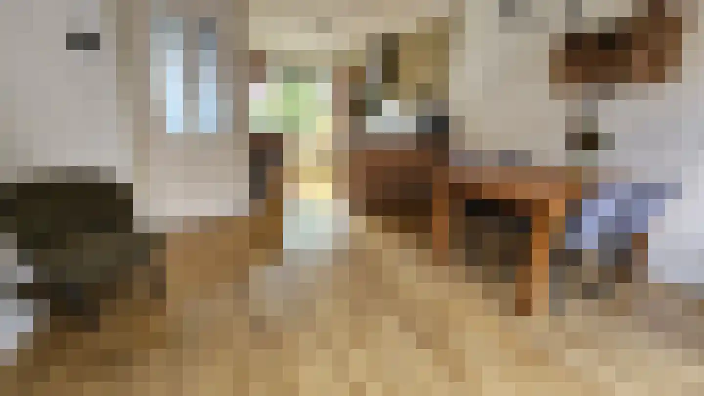 Esdoornlaan 10 Zaandijk thumbnail 5