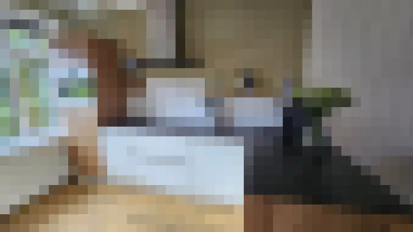 Esdoornlaan 10 Zaandijk thumbnail 7