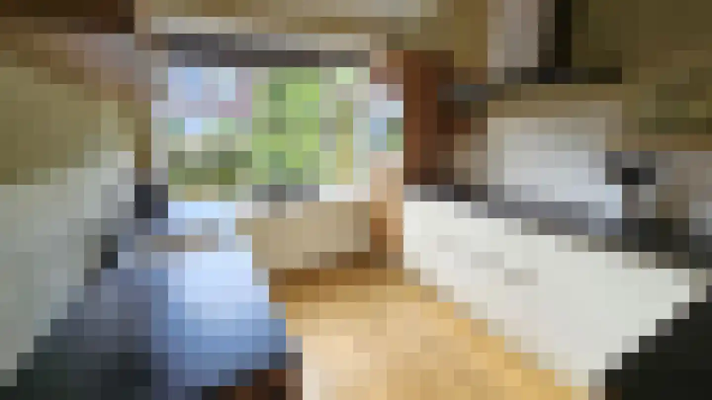Esdoornlaan 10 Zaandijk thumbnail 8
