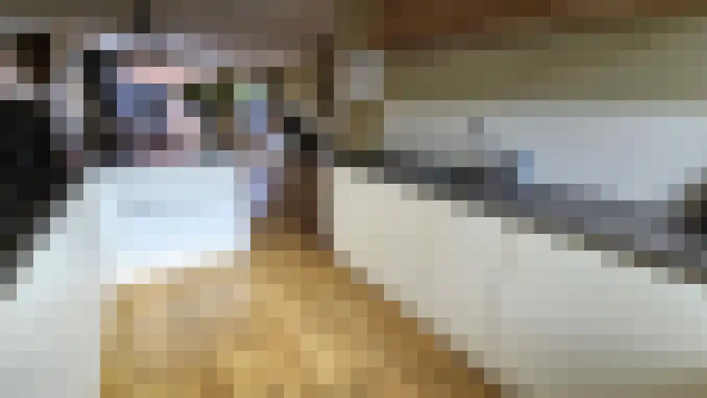 Esdoornlaan 10 Zaandijk thumbnail 9