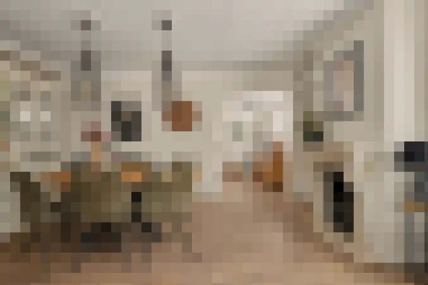 Esdoornlaan 11 Oosterhout thumbnail 13