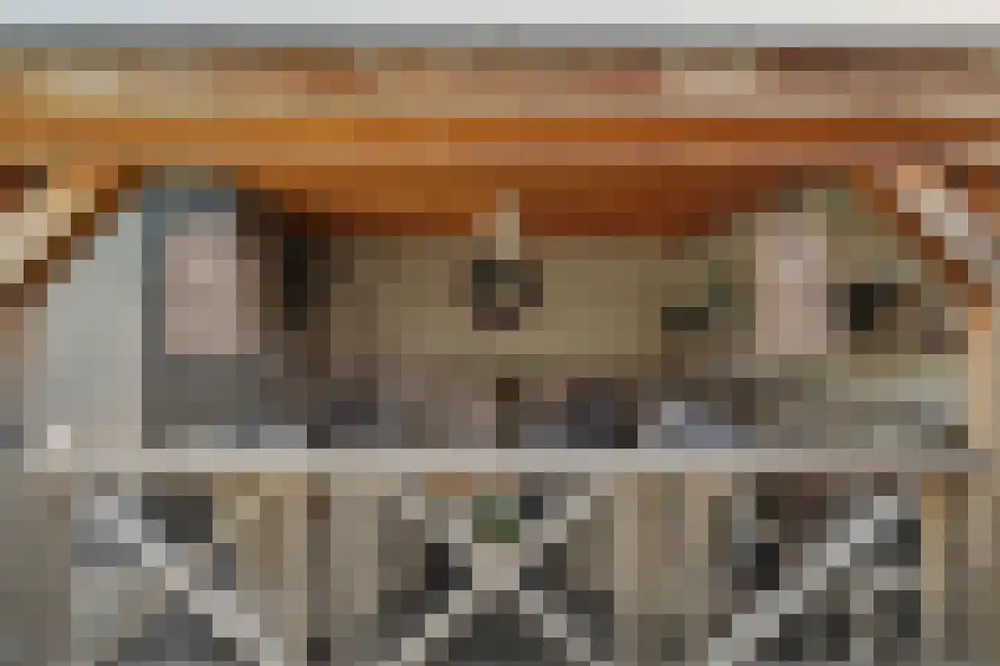 Esdoornlaan 11 Oosterhout thumbnail 34