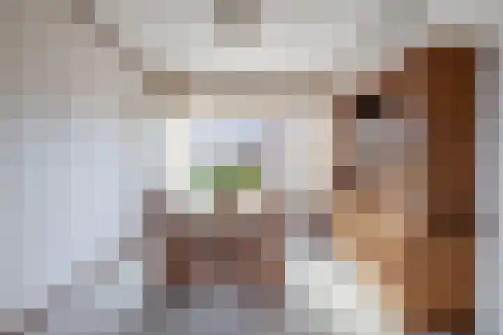 Esdoornlaan 110 Rozenburg thumbnail 10