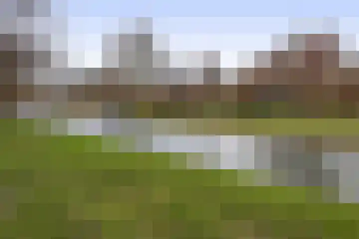 Esdoornlaan 110 Rozenburg thumbnail 33
