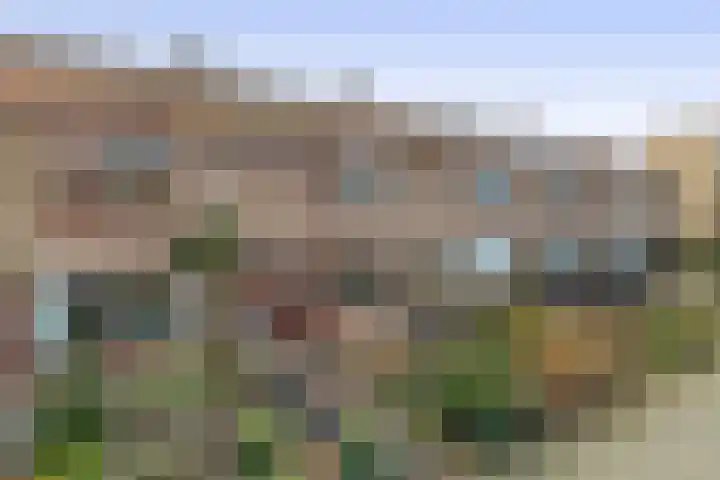 Esdoornlaan 110 Rozenburg thumbnail 7