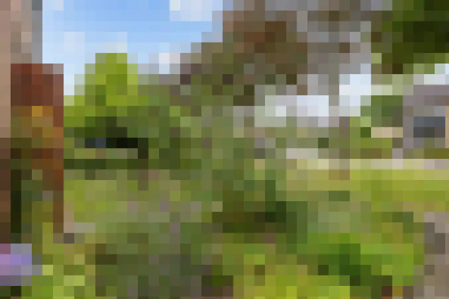 Esdoornlaan 12 Marum thumbnail 12