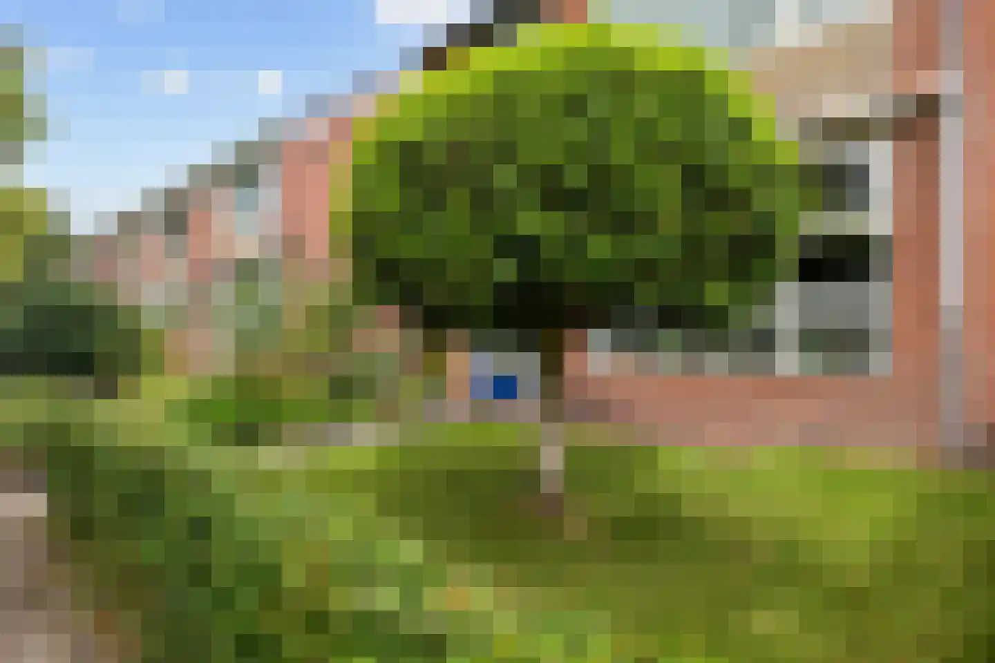 Esdoornlaan 12 Marum thumbnail 13