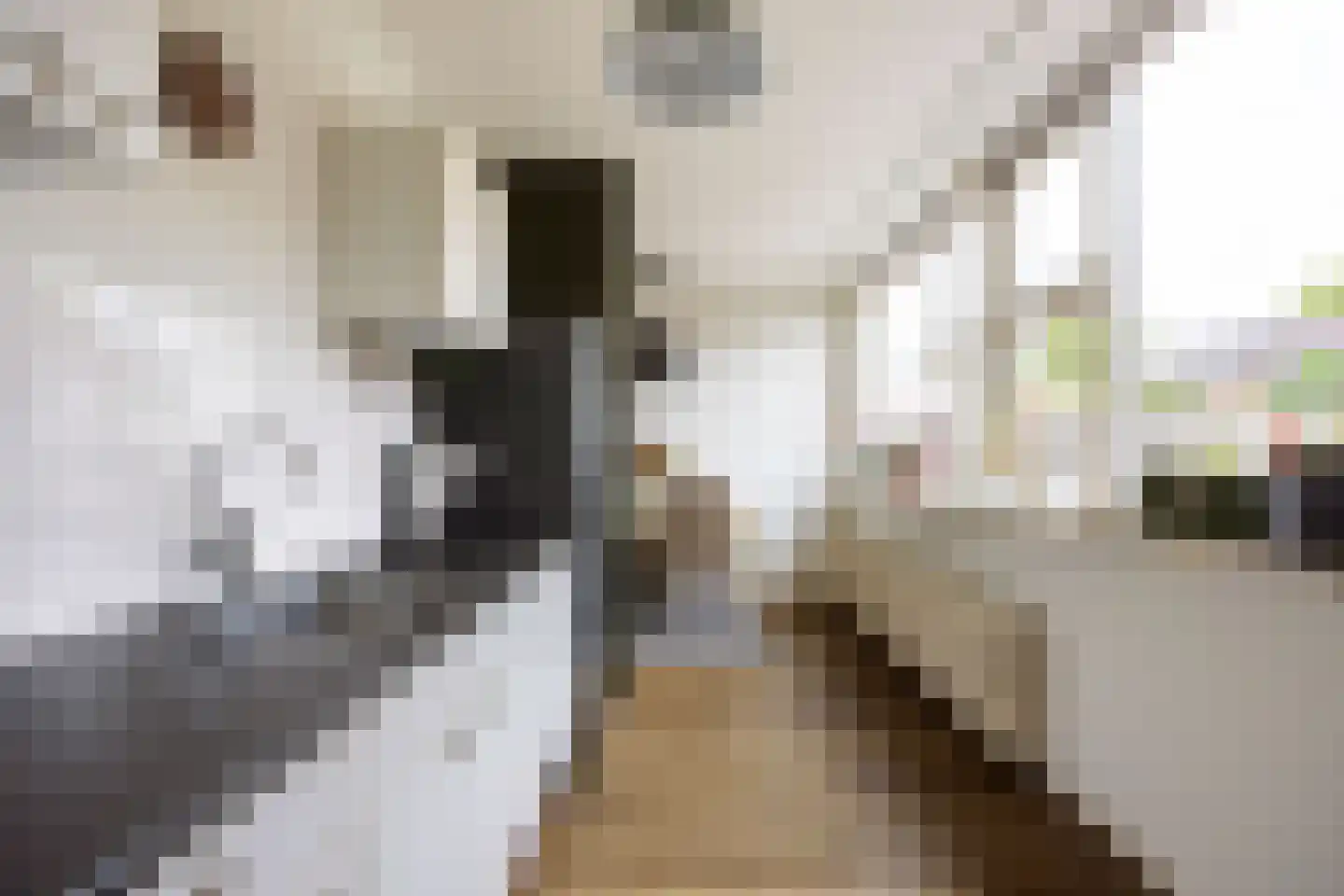Esdoornlaan 12 Marum thumbnail 26