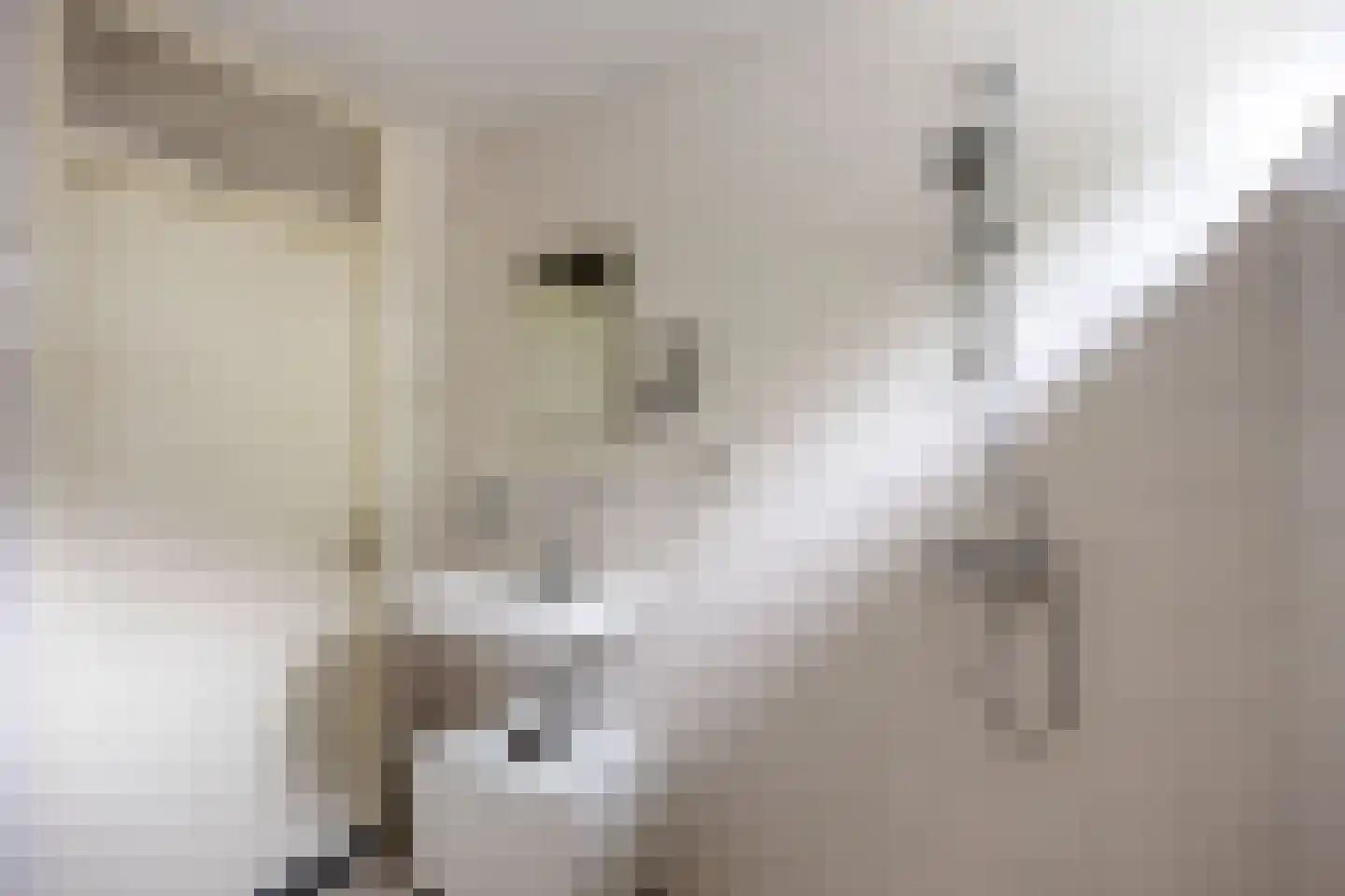 Esdoornlaan 12 Marum thumbnail 38