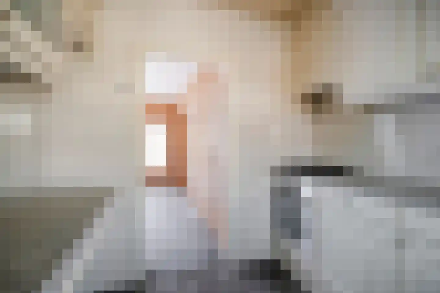 Esdoornlaan 12 Middenmeer thumbnail 12