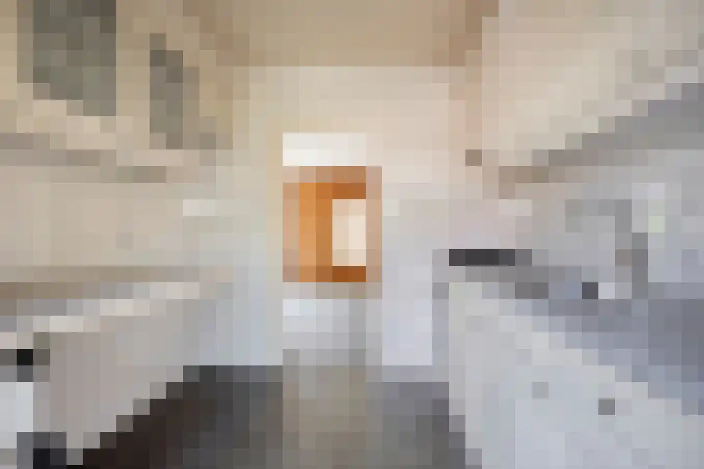 Esdoornlaan 12 Middenmeer thumbnail 13