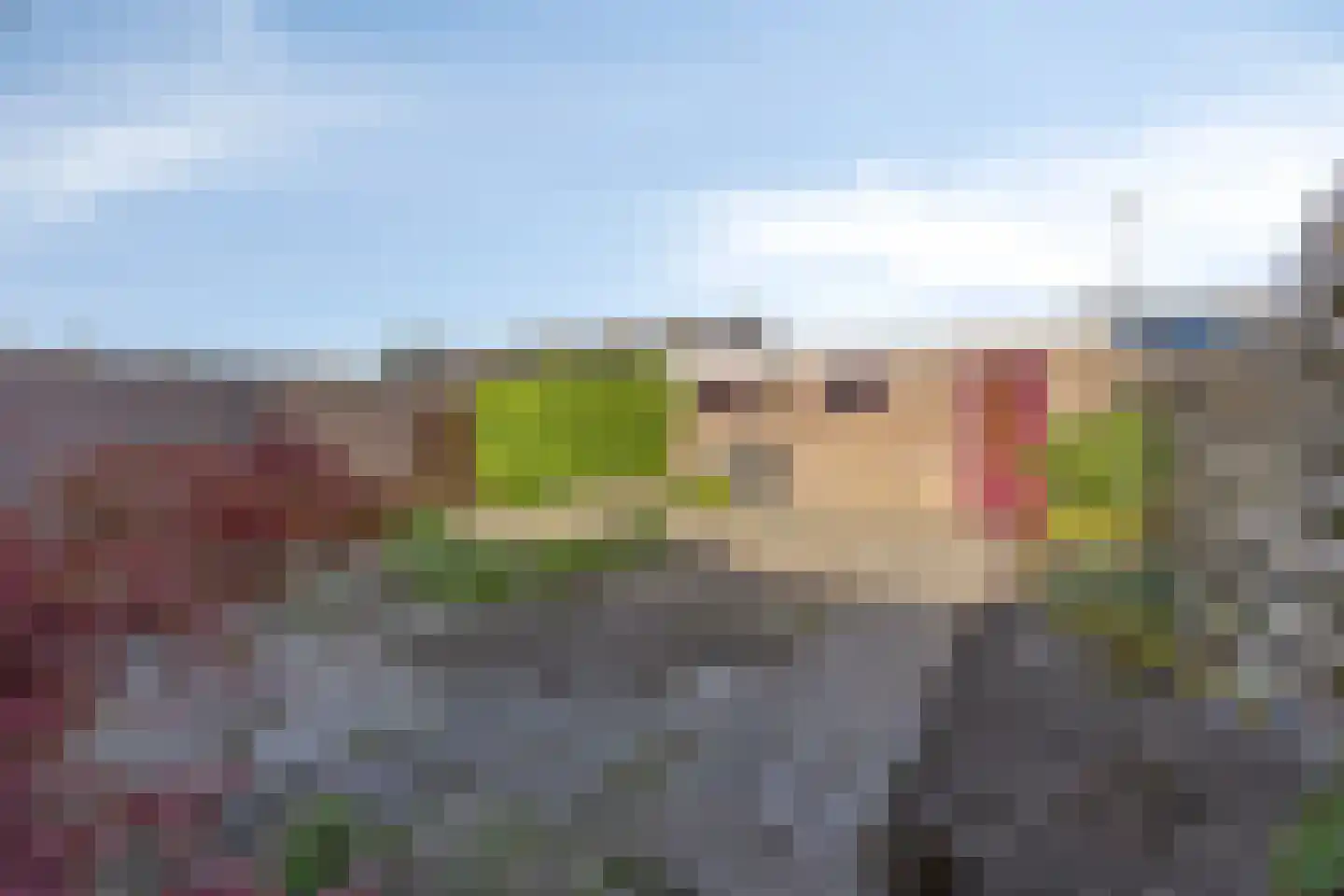 Esdoornlaan 12 Middenmeer thumbnail 25