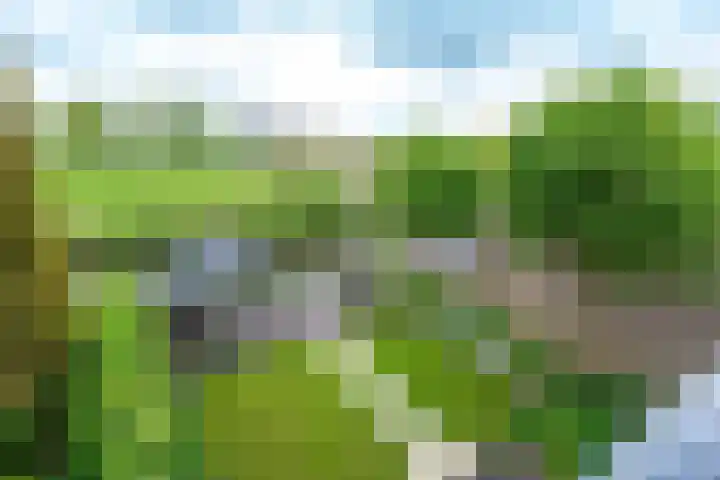 Esdoornlaan 12 Oudorp thumbnail 25
