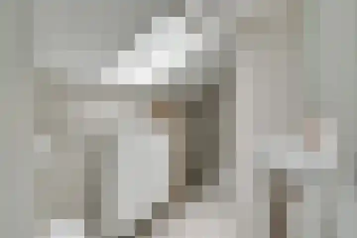 Esdoornlaan 12 Oudorp thumbnail 30