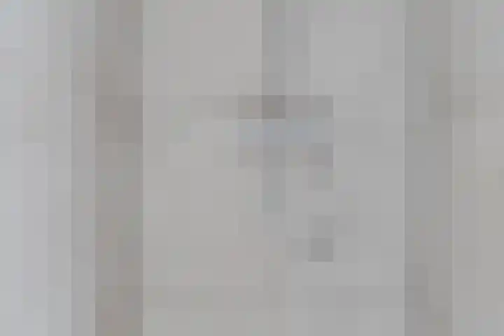 Esdoornlaan 12 Oudorp thumbnail 34