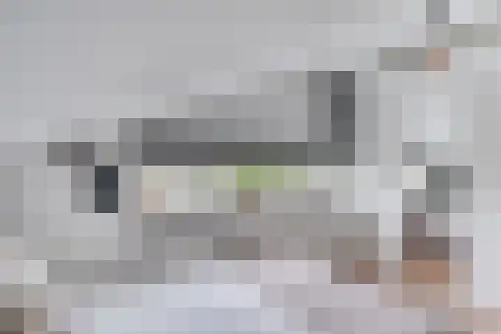 Esdoornlaan 12 Oudorp thumbnail 38