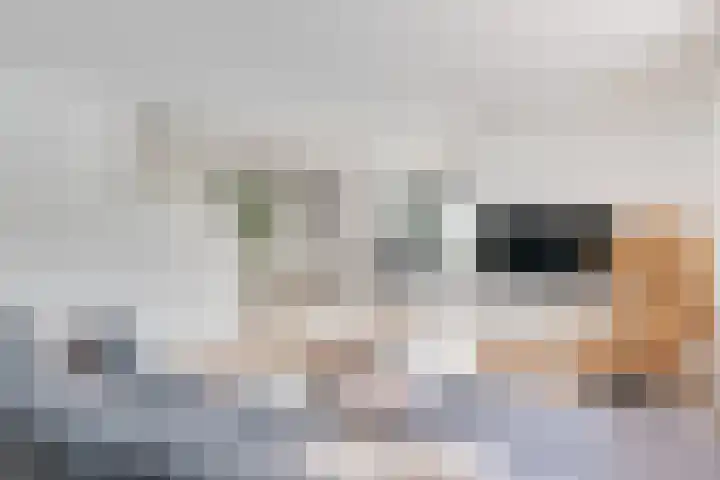 Esdoornlaan 12 Oudorp thumbnail 4