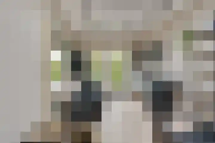 Esdoornlaan 12 Oudorp thumbnail 44