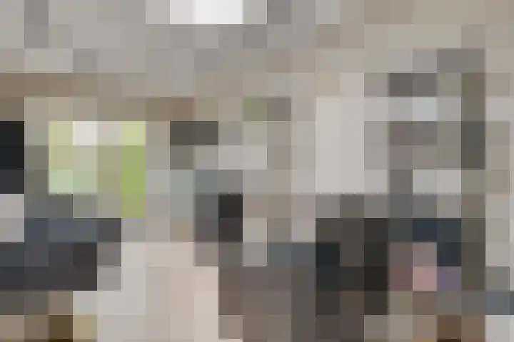 Esdoornlaan 12 Oudorp thumbnail 45