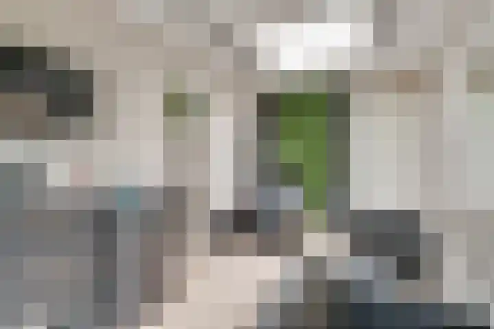 Esdoornlaan 12 Oudorp thumbnail 46