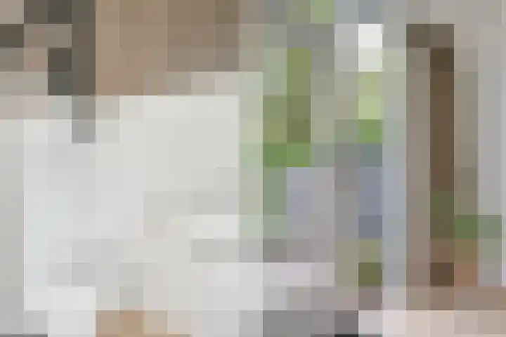 Esdoornlaan 12 Oudorp thumbnail 54