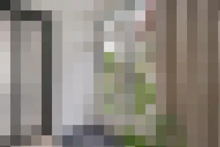Esdoornlaan 12 Oudorp thumbnail 55