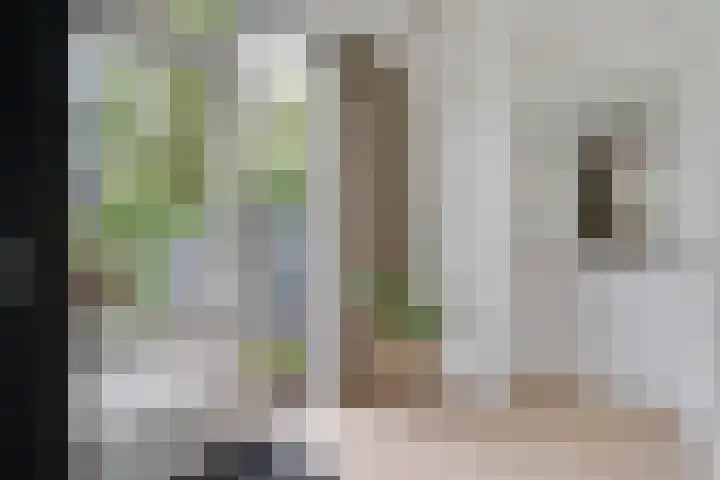Esdoornlaan 12 Oudorp thumbnail 57
