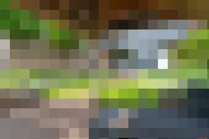 Esdoornlaan 12 Oudorp thumbnail 62