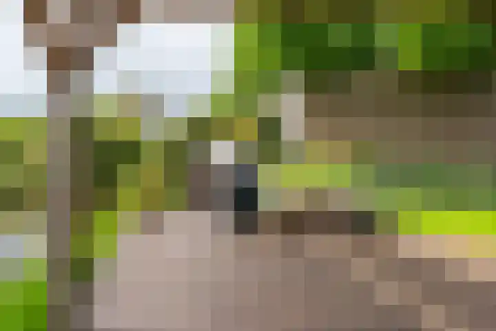 Esdoornlaan 12 Oudorp thumbnail 63