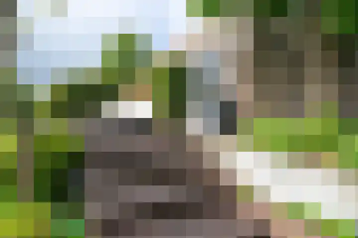 Esdoornlaan 12 Oudorp thumbnail 64