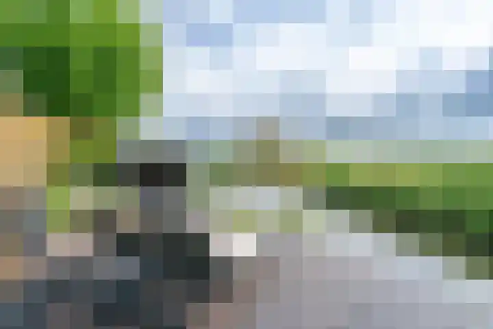 Esdoornlaan 12 Oudorp thumbnail 66