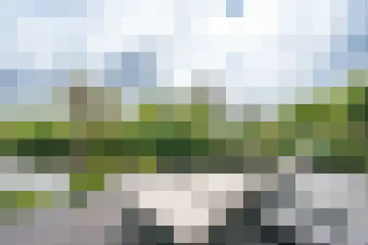 Esdoornlaan 12 Oudorp thumbnail 67