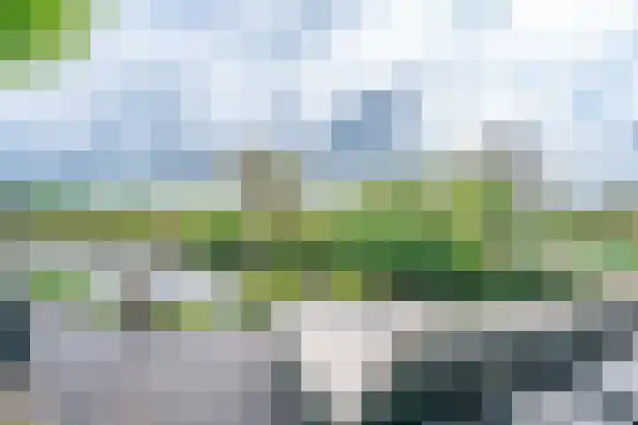 Esdoornlaan 12 Oudorp thumbnail 68