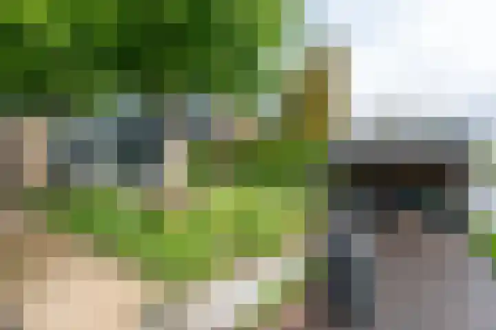 Esdoornlaan 12 Oudorp thumbnail 70
