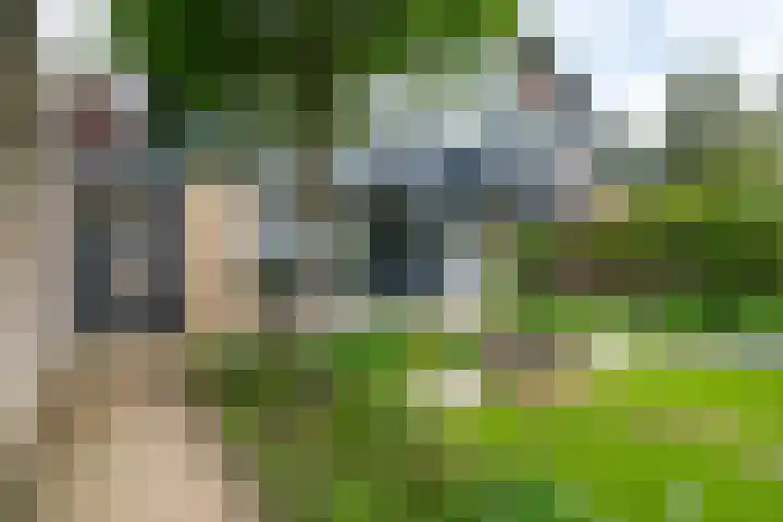 Esdoornlaan 12 Oudorp thumbnail 71
