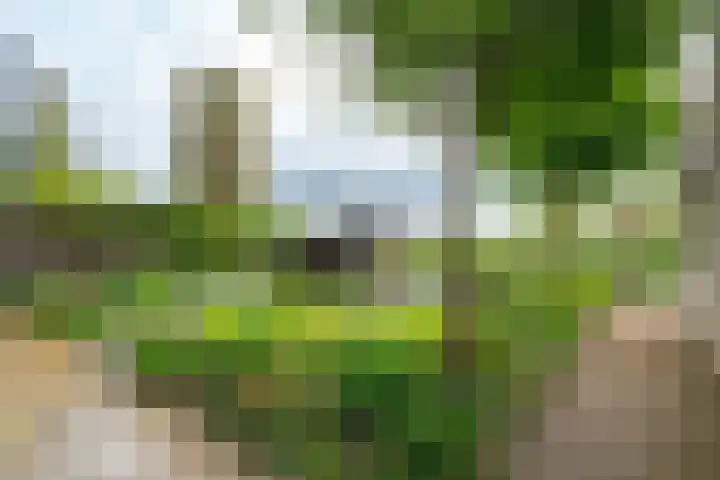Esdoornlaan 12 Oudorp thumbnail 72
