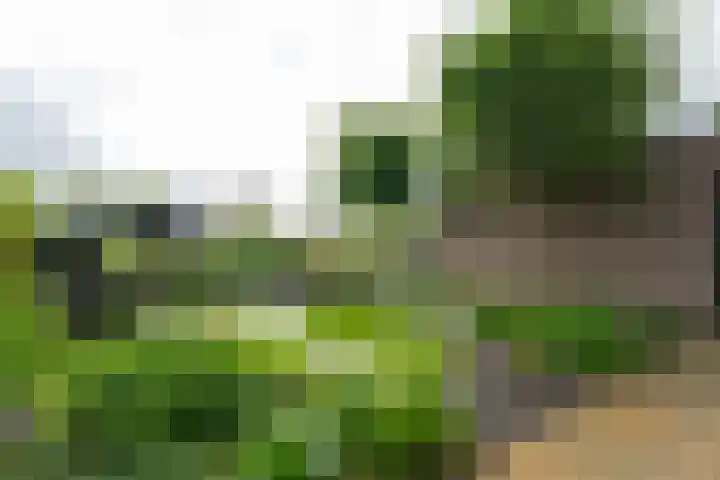 Esdoornlaan 12 Oudorp thumbnail 73