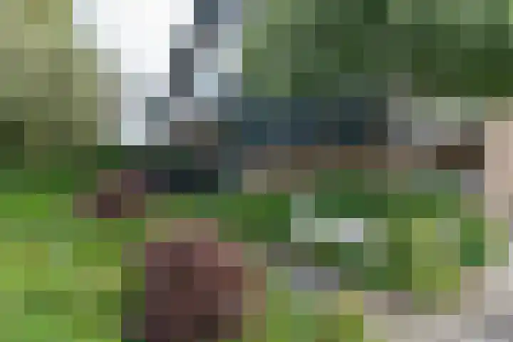 Esdoornlaan 12 Oudorp thumbnail 77
