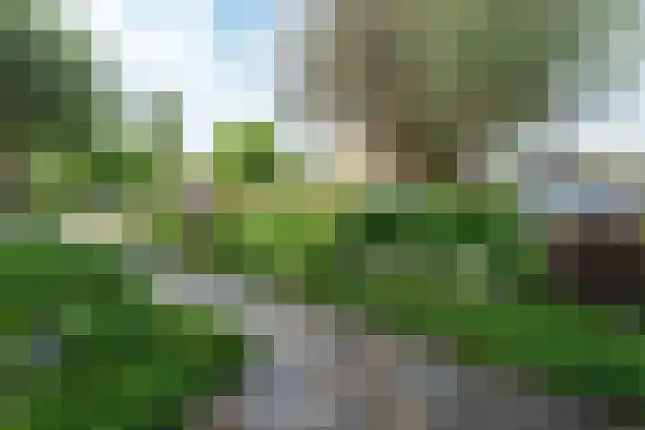 Esdoornlaan 12 Oudorp thumbnail 79
