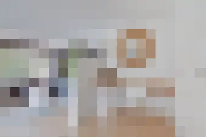 Esdoornlaan 12 Oudorp thumbnail 8