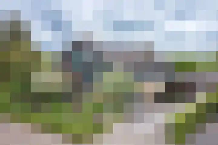 Esdoornlaan 12 Oudorp thumbnail 80