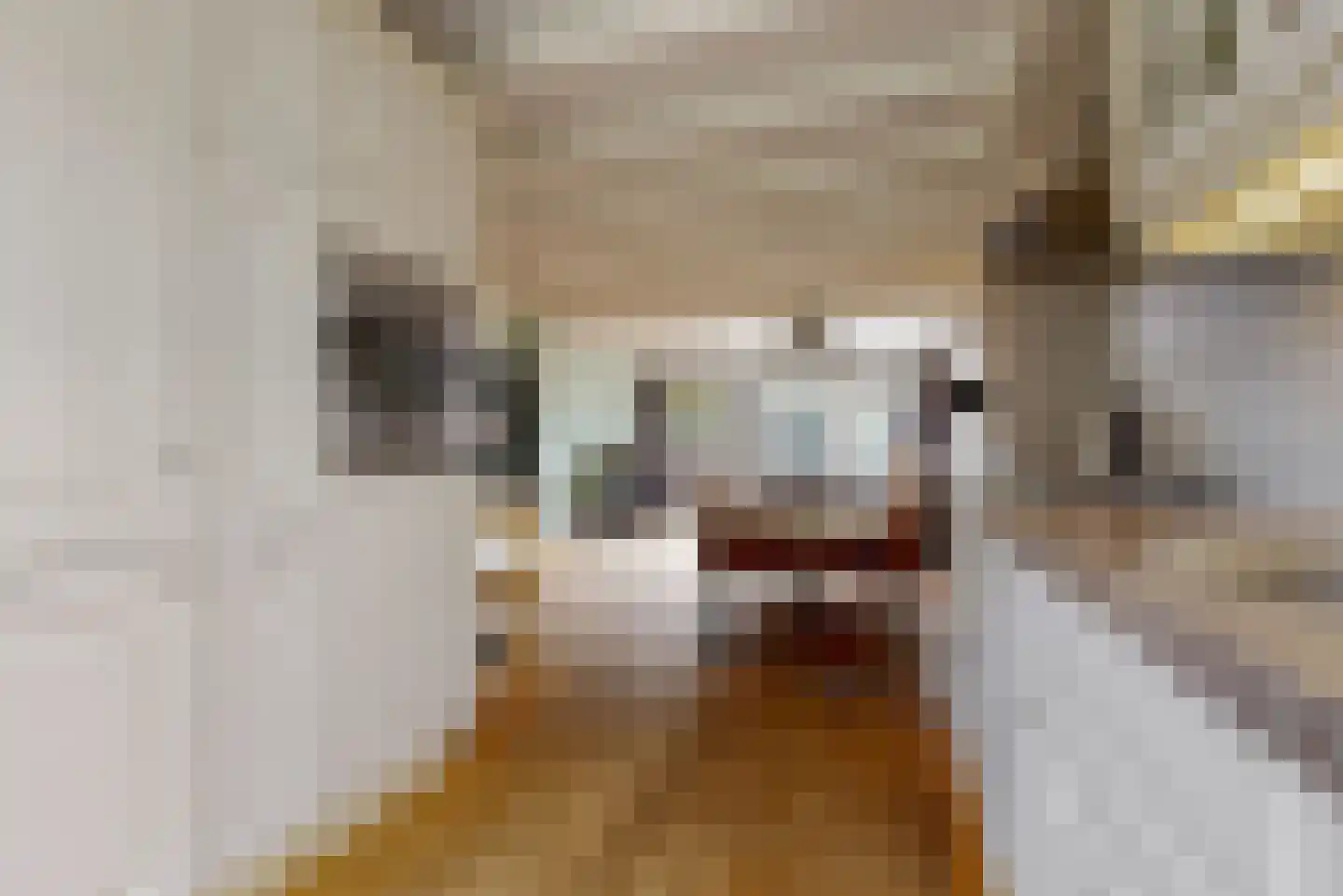 Esdoornlaan 12 Zaandijk thumbnail 11