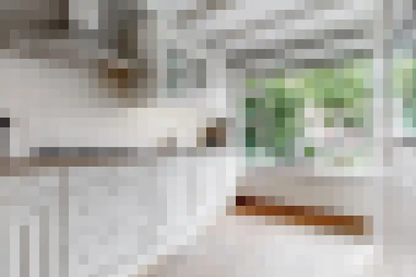 Esdoornlaan 12 Zaandijk thumbnail 12